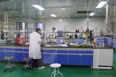 日處理300噸鮮梅、生產6款青梅酒,陸河青梅產業園正式投入使用