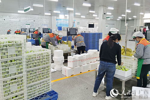 廣西金融投資集團助力中小微企業(yè)渡難關