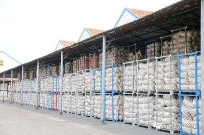 一棵樹(shù)、一塊板、一頭蒜,邳州現(xiàn)代農(nóng)業(yè)這篇文章大有所為-財(cái)經(jīng)頻道-手機(jī)