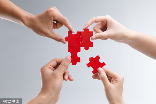 國泰君安2023年業(yè)績回顧 營收凈利雙降下的穩(wěn)健分紅與代理記賬業(yè)務(wù)展望